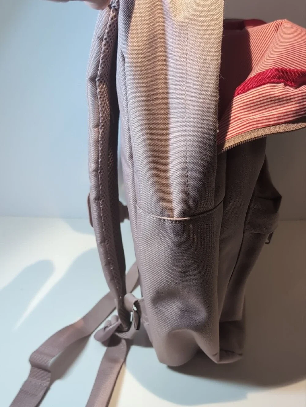Herschel Supply Company Dusty Pink Everyday Backpack